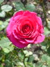 dsc01081