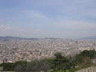 spain01528