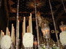 spain01366