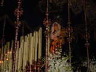 spain01472