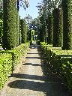 spain01433