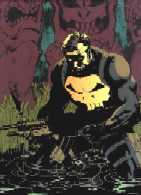 punisher.jpg (16153 bytes)