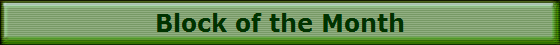 Block of the Month