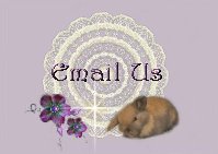 Email Us!