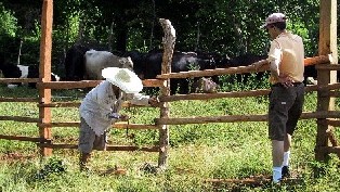 Dad and I working on the fence