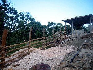 new fence