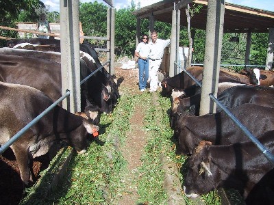 Us at the Stock Feeder