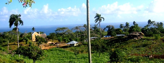 farm photo