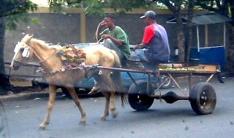 cart