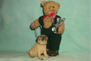 Bear and Show Dog