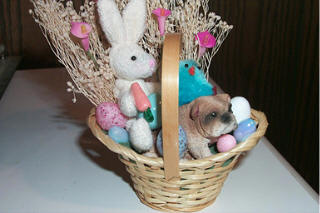 Breed SP basket