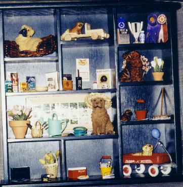 Shar-Pei Shadow Box