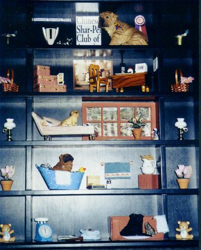 Shar-Pei Shadow Box