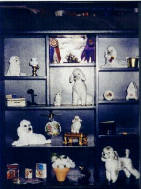Poodle Shadow Box