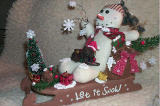 Sled