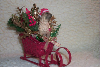 Sled