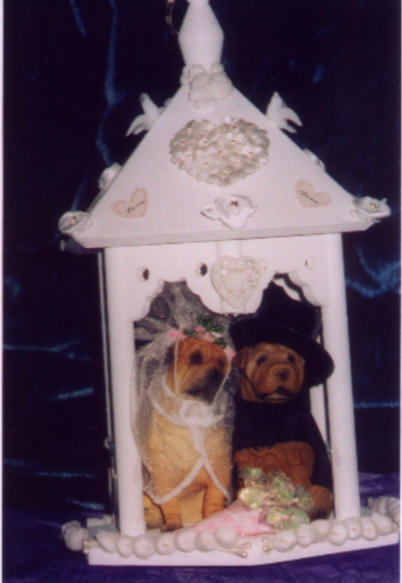 Wedding cake Topper
