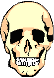 front skull