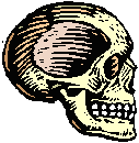 side skull