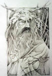 Elder