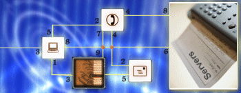 ESDD graphics