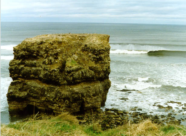 Marsden Bay - NE Coast - England