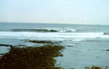 Reef Break - NE Coast - England