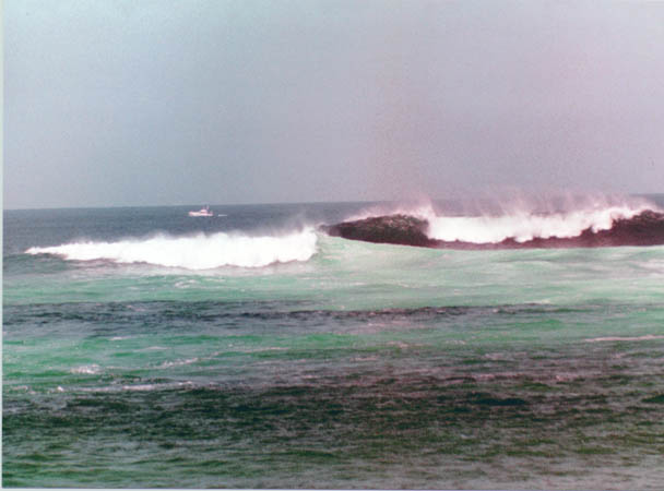 Suicides - North Shore - Fuerteventura