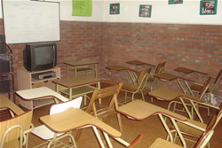shamrock center aulas