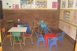shamrock center aulas