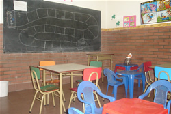 shamrock center aulas