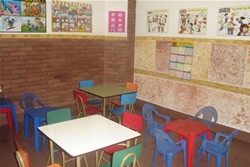 shamrock center aulas