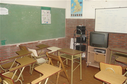 shamrock center aulas