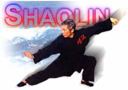 Shaolin Wahnam Homepage