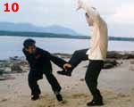 Photo 10: False-Leg Hand-Sweep