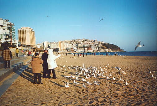 Haeundae Beach