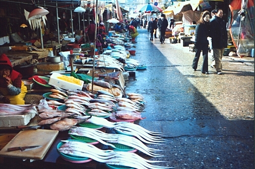 Jagalchi Fish Market