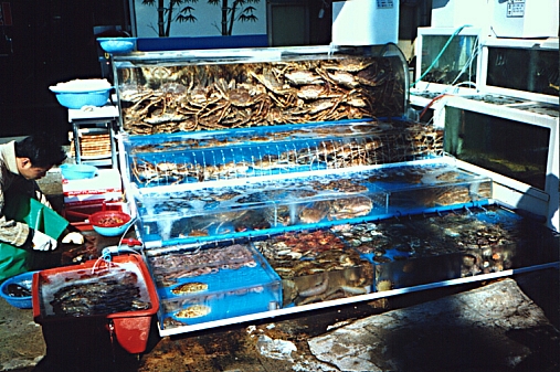 Fish tanks, Jagalchi