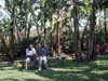 Mesiakihome