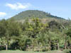 kivesihill
