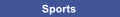 aaaasports.gif (298 bytes)
