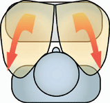 0510_charting_lexus_chamber.gif