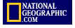ngbanner.jpg (3144 bytes)
