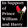 In support of Prince William & Harry