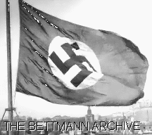 Nazi flag