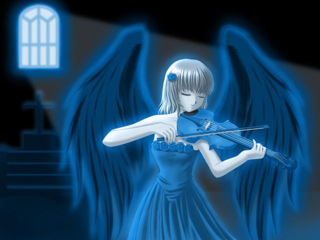 violin pic