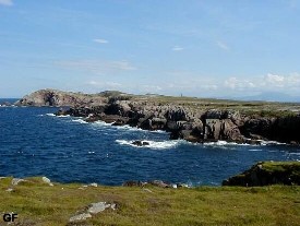 Tory's landscape