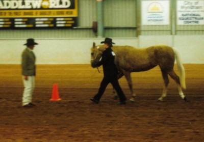 3yo QH filly - walk to the judge