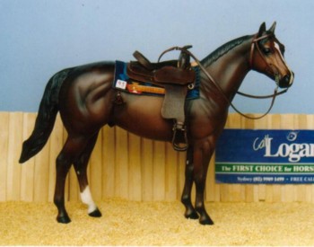 Quarter Horses