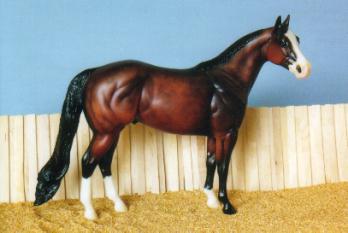 Australian Stock Horses